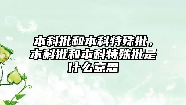 本科批和本科特殊批，本科批和本科特殊批是什么意思