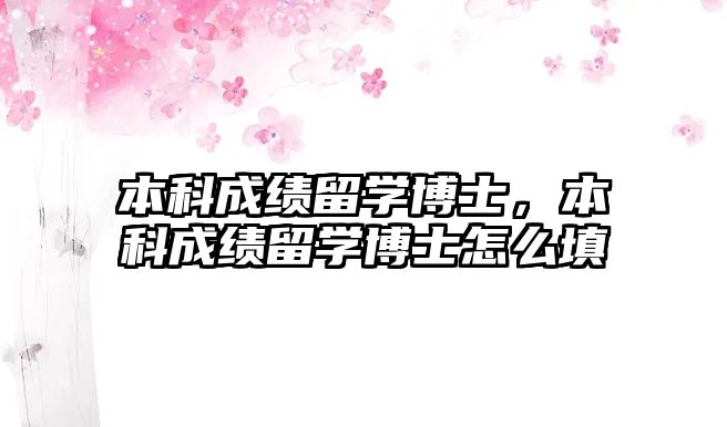 本科成績留學(xué)博士，本科成績留學(xué)博士怎么填