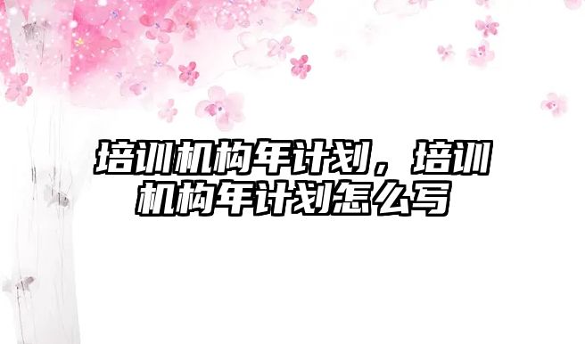 培訓(xùn)機(jī)構(gòu)年計劃，培訓(xùn)機(jī)構(gòu)年計劃怎么寫