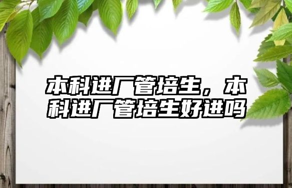 本科進廠管培生，本科進廠管培生好進嗎