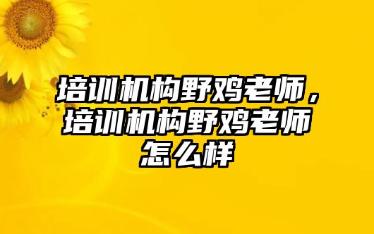 培訓機構野雞老師，培訓機構野雞老師怎么樣