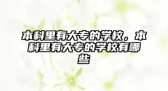 本科里有大專的學(xué)校，本科里有大專的學(xué)校有哪些