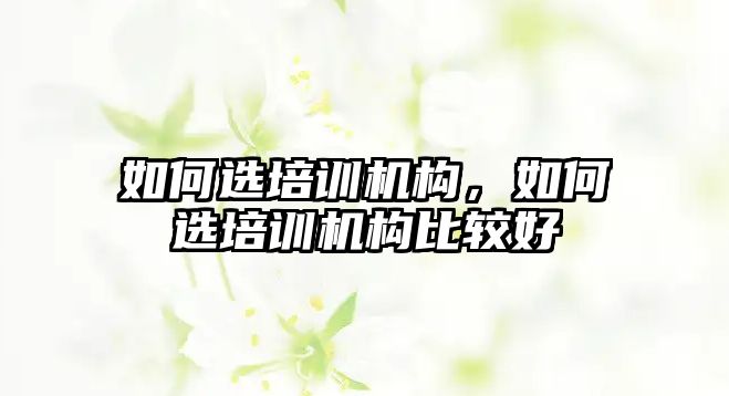 如何選培訓機構，如何選培訓機構比較好