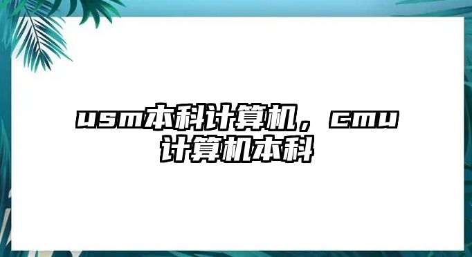 usm本科計算機，cmu計算機本科