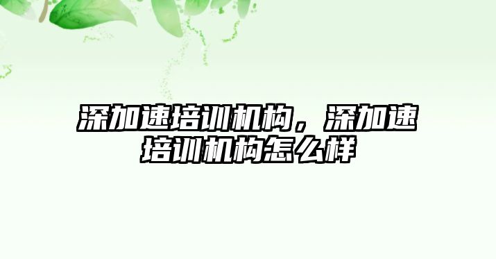 深加速培訓(xùn)機構(gòu)，深加速培訓(xùn)機構(gòu)怎么樣