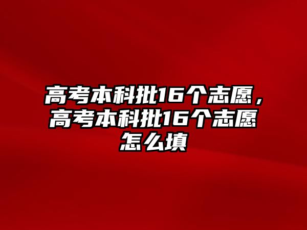 高考本科批16個(gè)志愿，高考本科批16個(gè)志愿怎么填