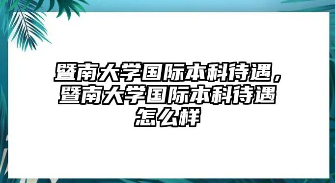 暨南大學國際本科待遇，暨南大學國際本科待遇怎么樣