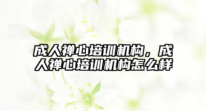 成人禪心培訓機構(gòu)，成人禪心培訓機構(gòu)怎么樣