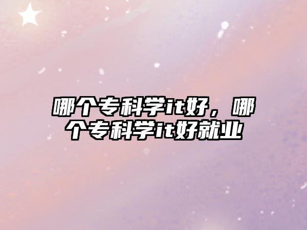 哪個(gè)專科學(xué)it好，哪個(gè)專科學(xué)it好就業(yè)