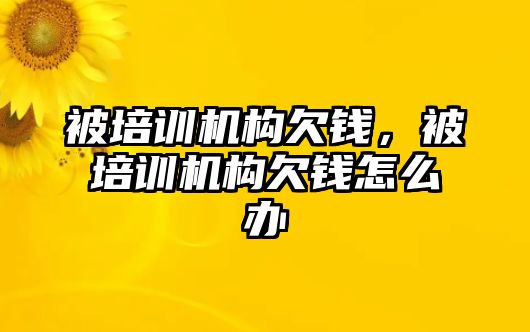 被培訓(xùn)機(jī)構(gòu)欠錢，被培訓(xùn)機(jī)構(gòu)欠錢怎么辦