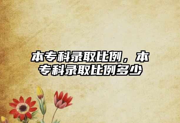 本專科錄取比例，本專科錄取比例多少