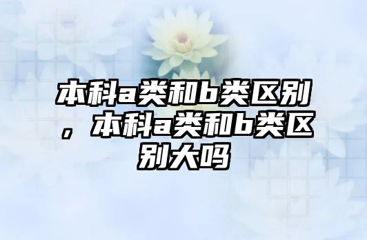 本科a類和b類區(qū)別，本科a類和b類區(qū)別大嗎