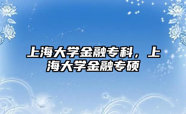 上海大學(xué)金融專科，上海大學(xué)金融專碩