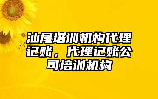 汕尾培訓(xùn)機(jī)構(gòu)代理記賬，代理記賬公司培訓(xùn)機(jī)構(gòu)