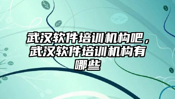 武漢軟件培訓機構吧，武漢軟件培訓機構有哪些