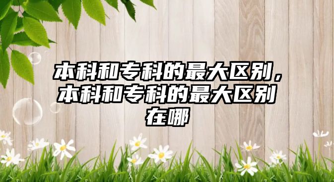 本科和專科的最大區(qū)別，本科和專科的最大區(qū)別在哪