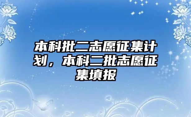 本科批二志愿征集計(jì)劃，本科二批志愿征集填報(bào)