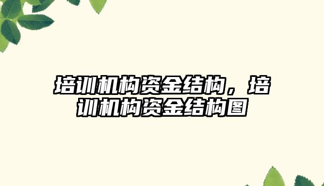 培訓機構資金結構，培訓機構資金結構圖