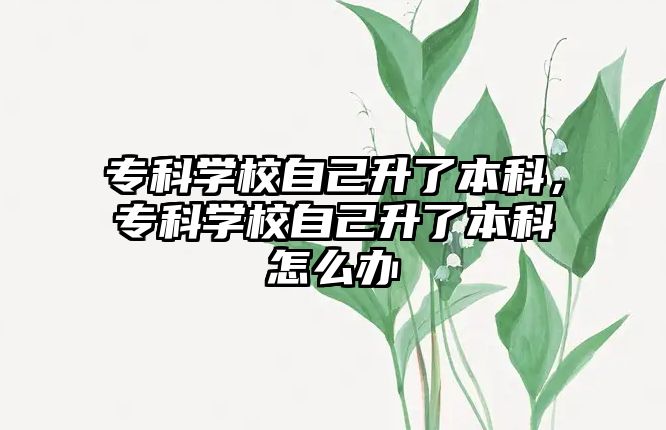 專科學(xué)校自己升了本科，專科學(xué)校自己升了本科怎么辦