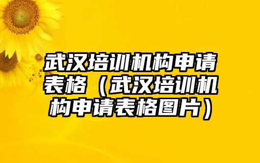 武漢培訓(xùn)機(jī)構(gòu)申請(qǐng)表格（武漢培訓(xùn)機(jī)構(gòu)申請(qǐng)表格圖片）