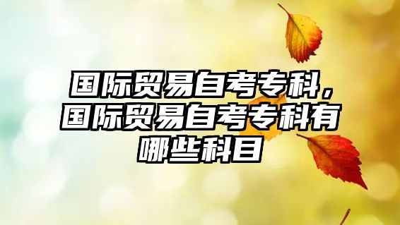 國際貿(mào)易自考專科，國際貿(mào)易自考專科有哪些科目