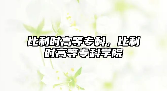 比利時高等專科，比利時高等專科學(xué)院