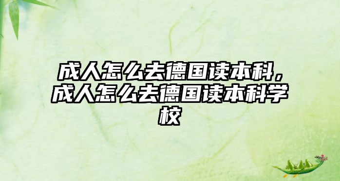 成人怎么去德國讀本科，成人怎么去德國讀本科學(xué)校