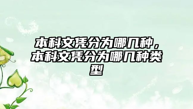 本科文憑分為哪幾種，本科文憑分為哪幾種類型