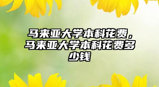 馬來亞大學(xué)本科花費(fèi)，馬來亞大學(xué)本科花費(fèi)多少錢