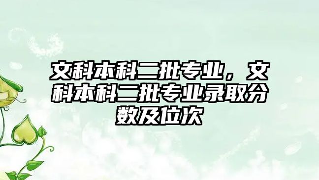 文科本科二批專業(yè)，文科本科二批專業(yè)錄取分?jǐn)?shù)及位次