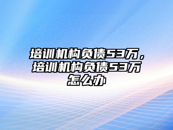 培訓(xùn)機(jī)構(gòu)負(fù)債53萬，培訓(xùn)機(jī)構(gòu)負(fù)債53萬怎么辦