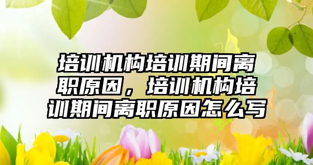 培訓機構培訓期間離職原因，培訓機構培訓期間離職原因怎么寫