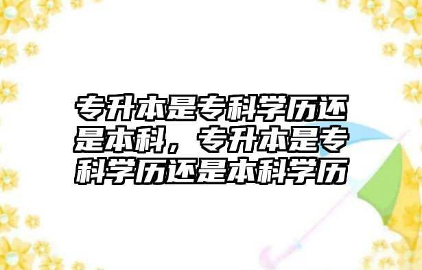 專升本是專科學(xué)歷還是本科，專升本是專科學(xué)歷還是本科學(xué)歷