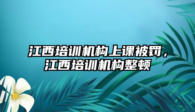 江西培訓(xùn)機構(gòu)上課被罰，江西培訓(xùn)機構(gòu)整頓