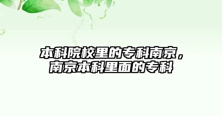 本科院校里的專科南京，南京本科里面的專科