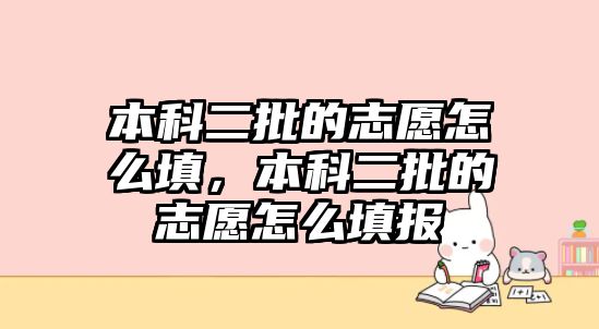 本科二批的志愿怎么填，本科二批的志愿怎么填報(bào)