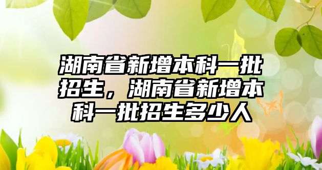 湖南省新增本科一批招生，湖南省新增本科一批招生多少人