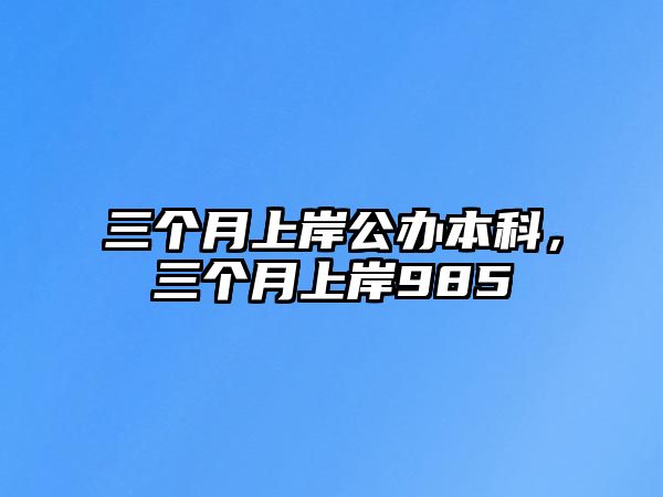 三個月上岸公辦本科，三個月上岸985