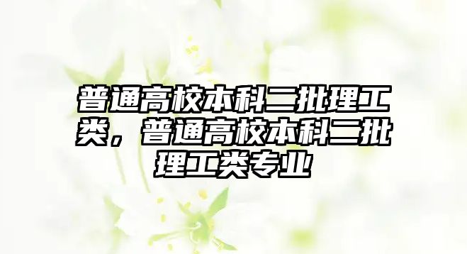 普通高校本科二批理工類，普通高校本科二批理工類專業(yè)