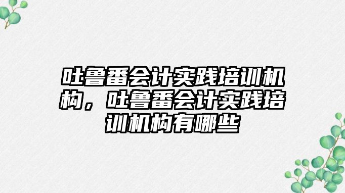 吐魯番會計實踐培訓(xùn)機構(gòu)，吐魯番會計實踐培訓(xùn)機構(gòu)有哪些