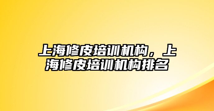 上海修皮培訓機構，上海修皮培訓機構排名