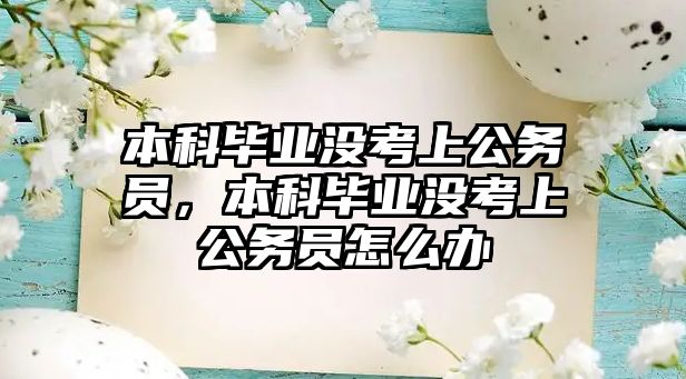 本科畢業(yè)沒考上公務員，本科畢業(yè)沒考上公務員怎么辦