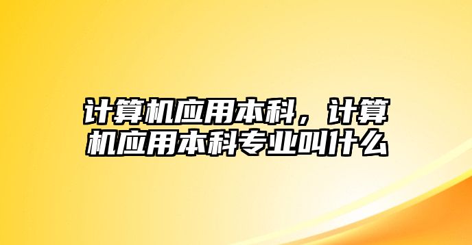 計算機(jī)應(yīng)用本科，計算機(jī)應(yīng)用本科專業(yè)叫什么