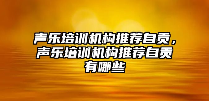 聲樂培訓機構(gòu)推薦自貢，聲樂培訓機構(gòu)推薦自貢有哪些