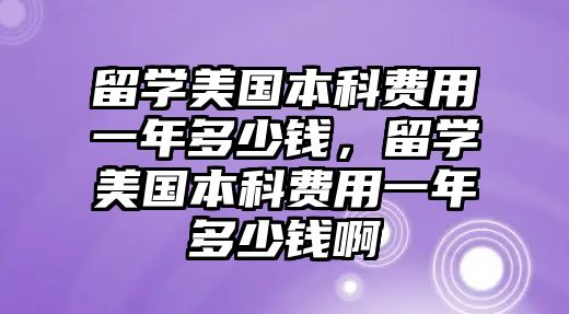 留學(xué)美國本科費(fèi)用一年多少錢，留學(xué)美國本科費(fèi)用一年多少錢啊