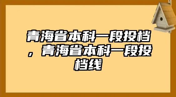 青海省本科一段投檔，青海省本科一段投檔線