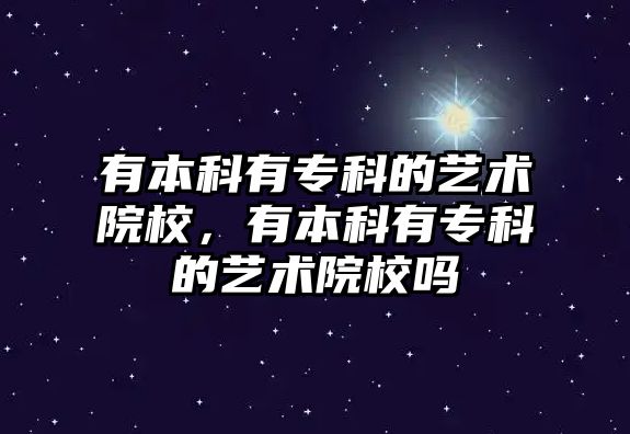 有本科有專科的藝術院校，有本科有專科的藝術院校嗎