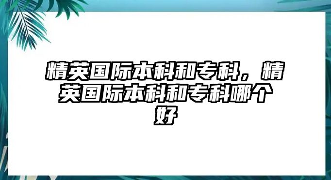 精英國(guó)際本科和專科，精英國(guó)際本科和專科哪個(gè)好