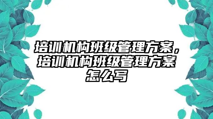 培訓機構(gòu)班級管理方案，培訓機構(gòu)班級管理方案怎么寫