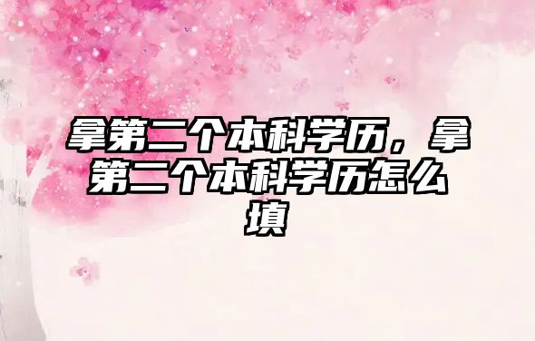 拿第二個(gè)本科學(xué)歷，拿第二個(gè)本科學(xué)歷怎么填